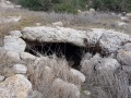 תמונה ממוזערת לגרסה מתאריך 12:09, 11 בדצמבר 2016