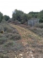 תמונה ממוזערת לגרסה מתאריך 08:03, 24 בדצמבר 2016