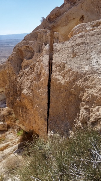 קובץ:20161105 095332 HDR.jpg