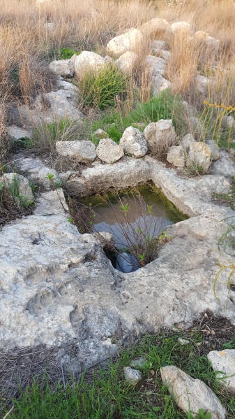 קובץ:2017.02.08-174946.574.android.jpg