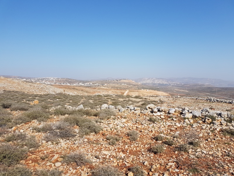 קובץ:2017.02.10-103304.485.android.jpg