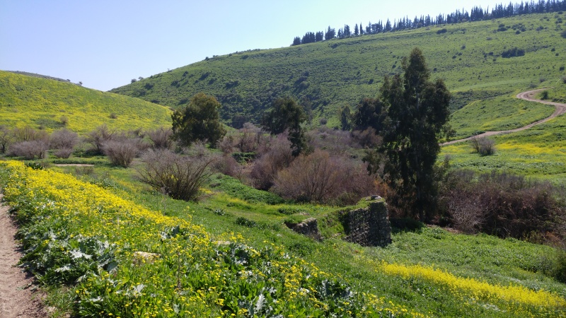 קובץ:2017.03.05-134550.035.android.jpg