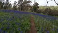 תמונה ממוזערת לגרסה מתאריך 13:05, 30 במרץ 2017