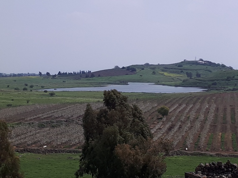 קובץ:2017.04.08-152428.286.android.jpg