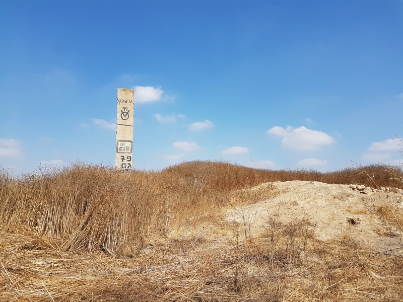 קובץ:2017.06.15-111515.219.android.jpg