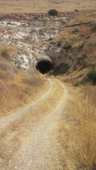 קובץ:2017.06.15-112119.354.android.jpg