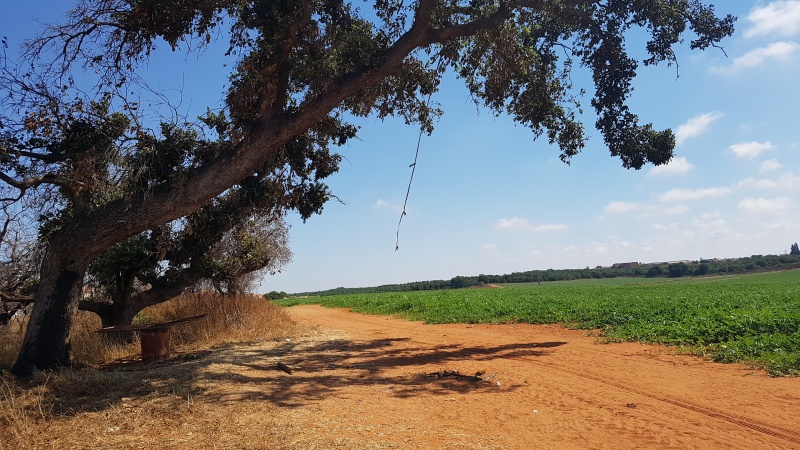 קובץ:2017.06.16-162806.283.android.jpg