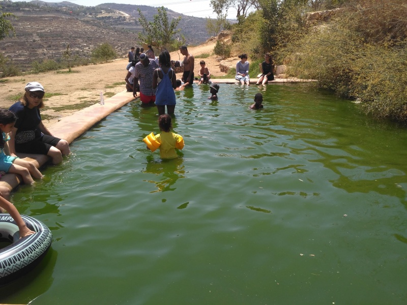 קובץ:2017.08.23-140618.437.android.jpg