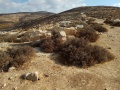 תמונה ממוזערת לגרסה מתאריך 06:22, 7 בספטמבר 2017