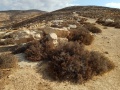 תמונה ממוזערת לגרסה מתאריך 06:22, 7 בספטמבר 2017