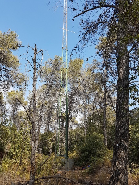 קובץ:2017.09.15-153023.379.android.jpg