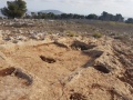 תמונה ממוזערת לגרסה מתאריך 19:53, 19 באוקטובר 2017