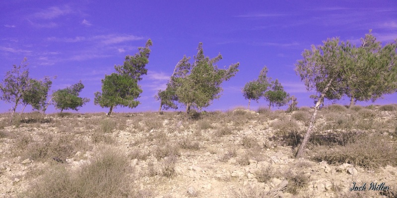 קובץ:2017.10.24-162823.522.android.jpg