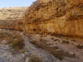 תמונה ממוזערת לגרסה מתאריך 09:06, 12 בנובמבר 2017