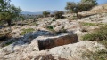 תמונה ממוזערת לגרסה מתאריך 14:19, 8 בינואר 2018