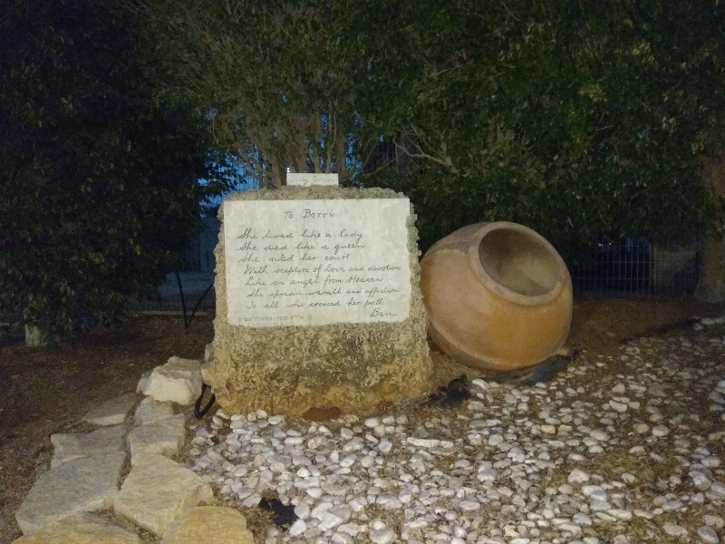 קובץ:2018.01.15-183009.370.android.jpg