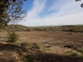 תמונה ממוזערת לגרסה מתאריך 10:45, 21 בינואר 2018