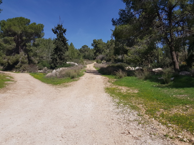 קובץ:2018.02.09-124455.212.android.jpg