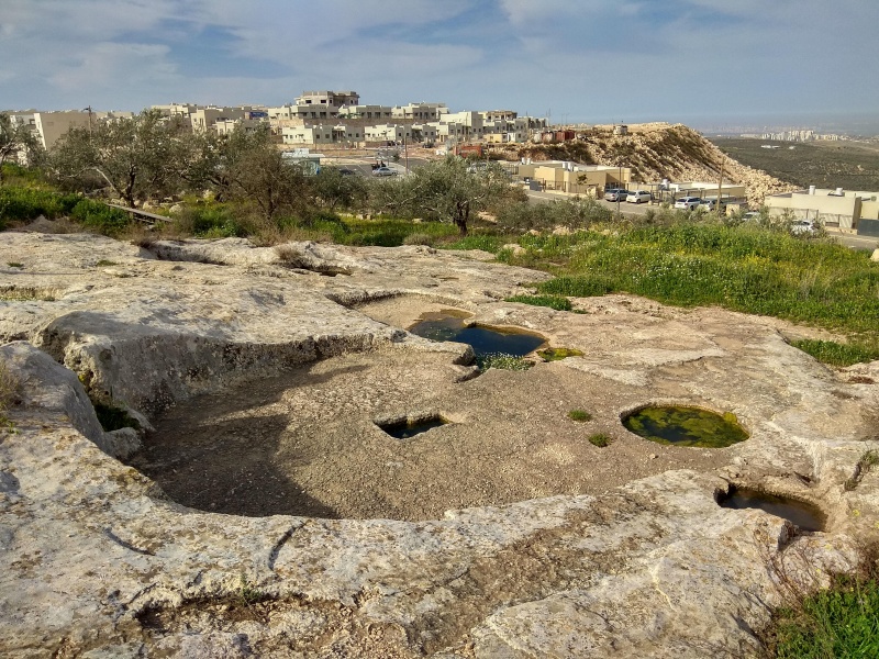 קובץ:2018.02.10-101651.630.android.jpg