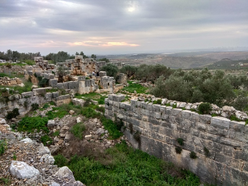 קובץ:2018.02.10-175234.701.android.jpg