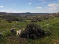 תמונה ממוזערת לגרסה מתאריך 10:45, 14 בפברואר 2018