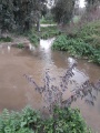 תמונה ממוזערת לגרסה מתאריך 09:24, 19 בפברואר 2018