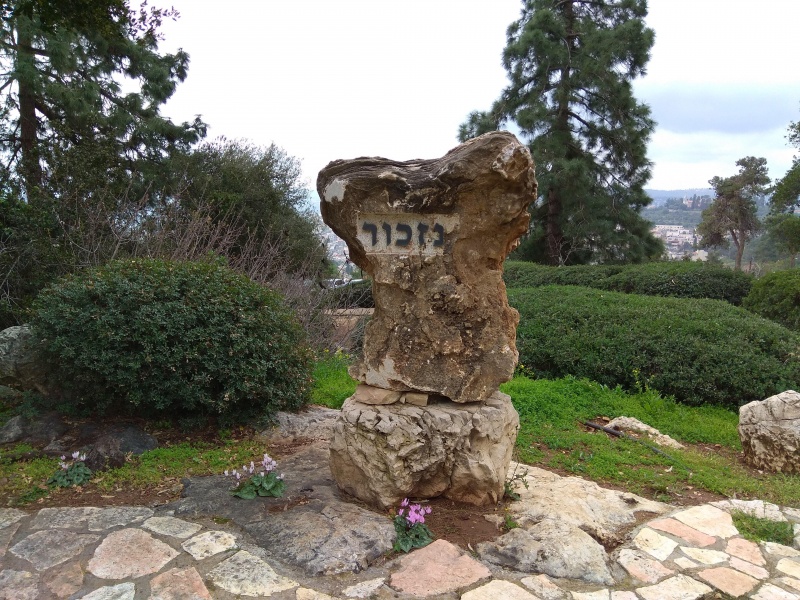 קובץ:2018.02.23-104960.406.android.jpg