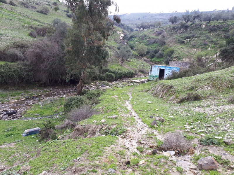 קובץ:2018.02.25-091504.031.android.jpg