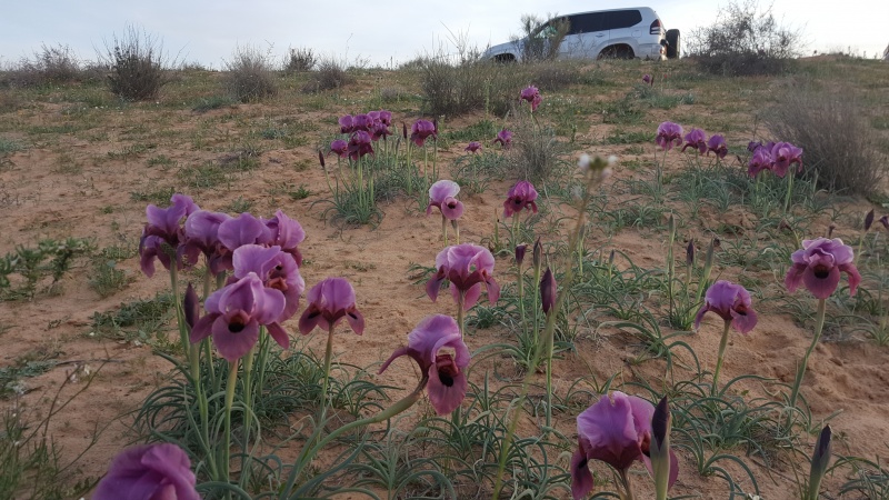 קובץ:2018.03.02-182542.573.android.jpg