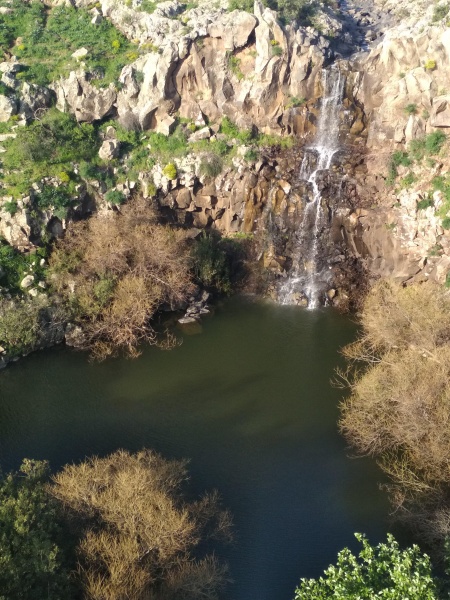 קובץ:2018.03.06-170914.649.android.jpg