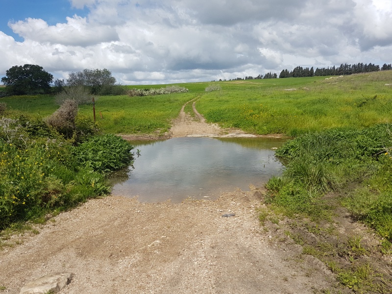 קובץ:2018.03.10-122156.711.android.jpg