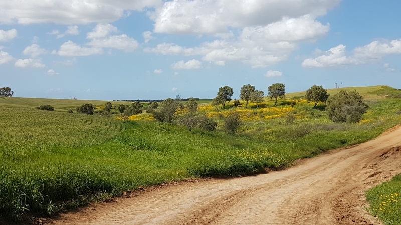 קובץ:2018.03.10-140314.326.android.jpg