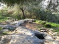 תמונה ממוזערת לגרסה מתאריך 14:30, 22 במרץ 2018