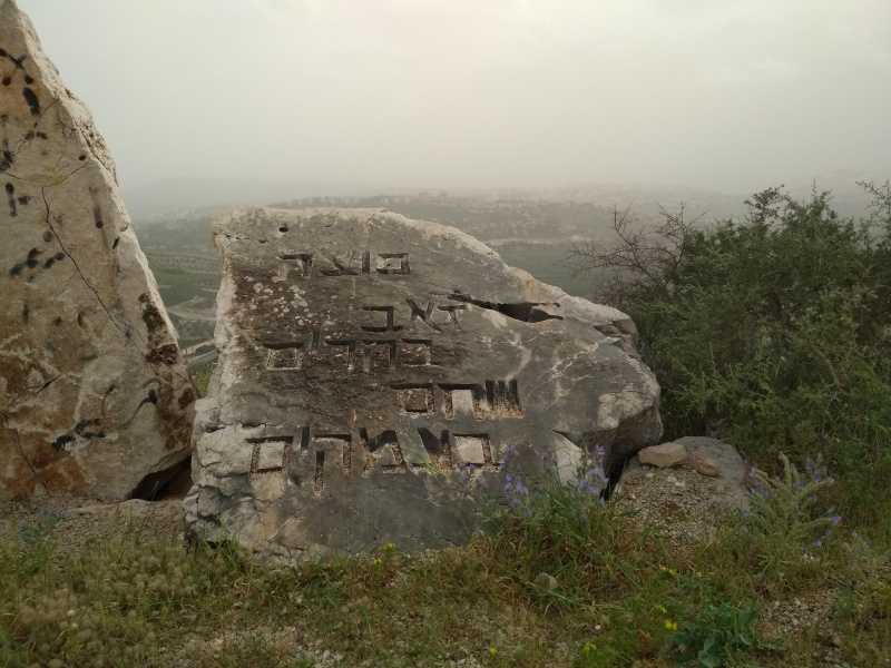 קובץ:2018.03.24-175631.153.android.jpg