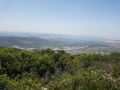 תמונה ממוזערת לגרסה מתאריך 16:08, 24 באפריל 2019