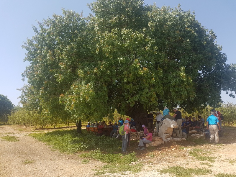 קובץ:2018.04.13-113055.378.android.jpg