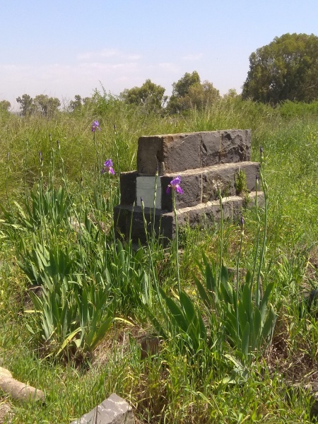 קובץ:2018.04.14-124406.905.android.jpg