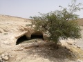 תמונה ממוזערת לגרסה מתאריך 03:21, 28 באפריל 2018