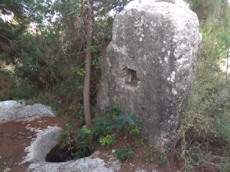 קובץ:2018.04.30-184508.056.android.jpg