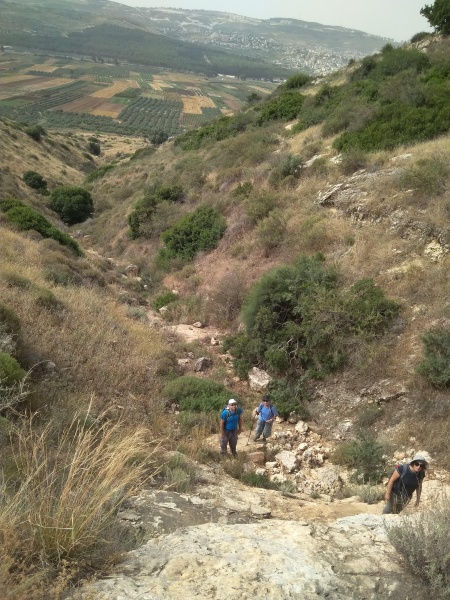 קובץ:2018.05.25-102860.332.android.jpg