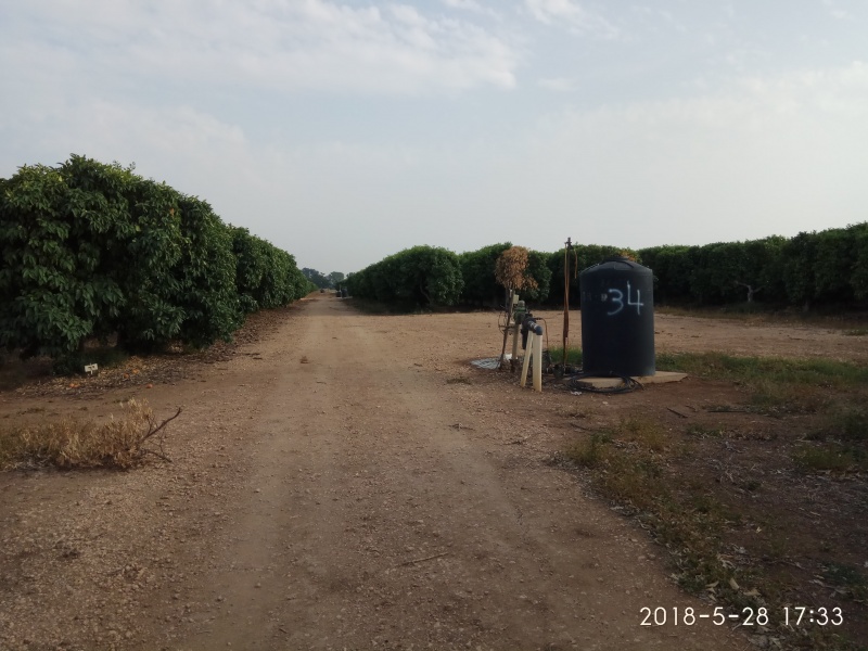 קובץ:2018.05.28-183432.720.android.jpg