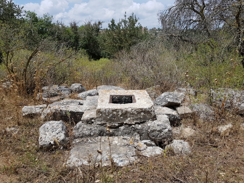 קובץ:2018.06.02-123743.513.android.jpg