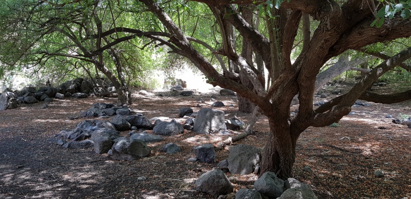 קובץ:2018.06.02-131701.122.android.jpg