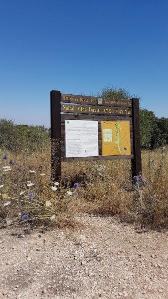 קובץ:2018.06.09-160907.256.android.jpg