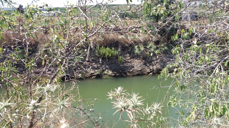 קובץ:2018.07.03-162439.035.android.jpg