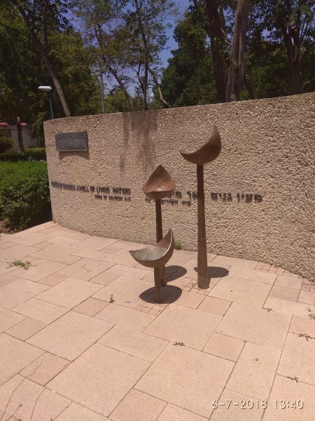 קובץ:2018.07.06-144133.548.android.jpg