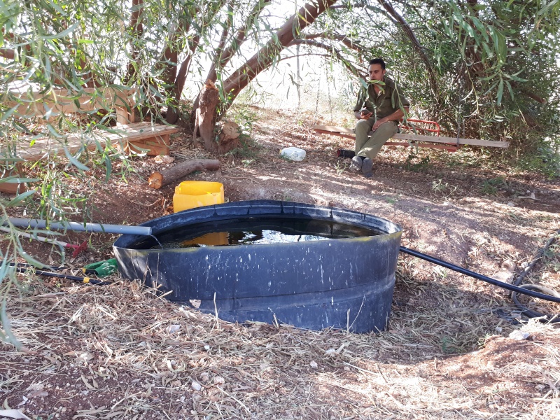 קובץ:2018.07.06-182328.060.android.jpg