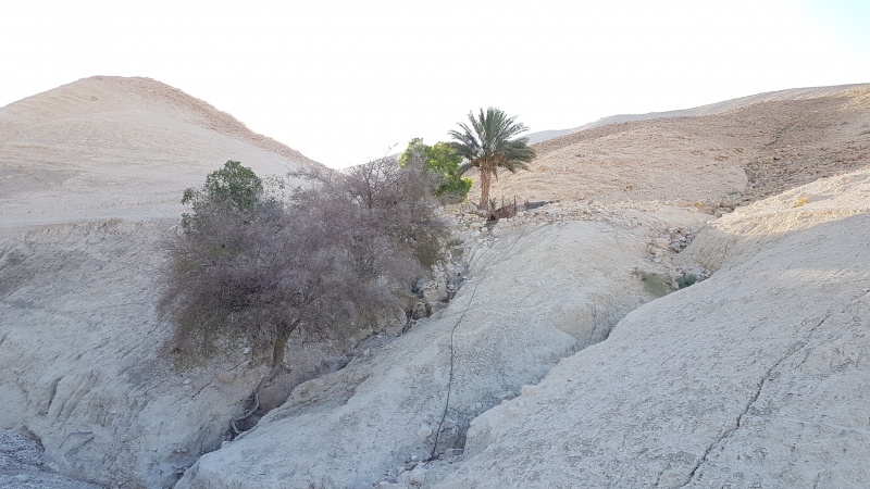 קובץ:2018.07.07-191819.273.android.jpg