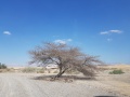 תמונה ממוזערת לגרסה מתאריך 20:15, 22 בספטמבר 2018