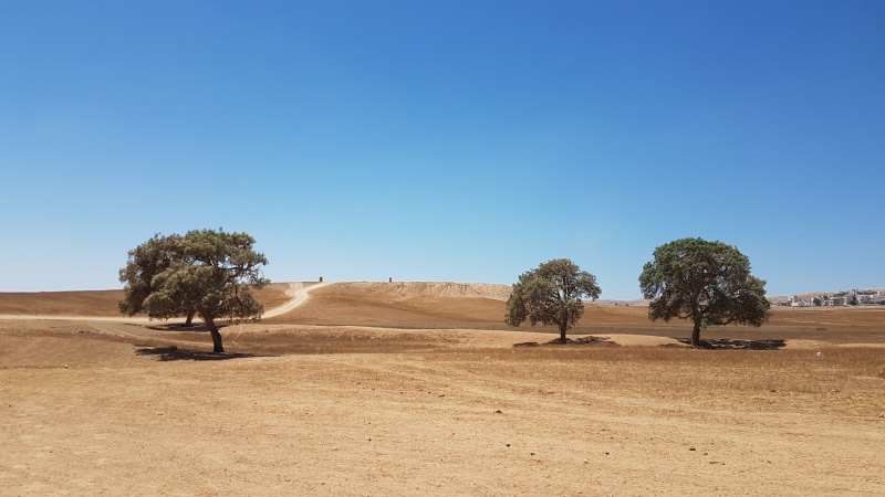 קובץ:2018.08.17-141318.670.android.jpg